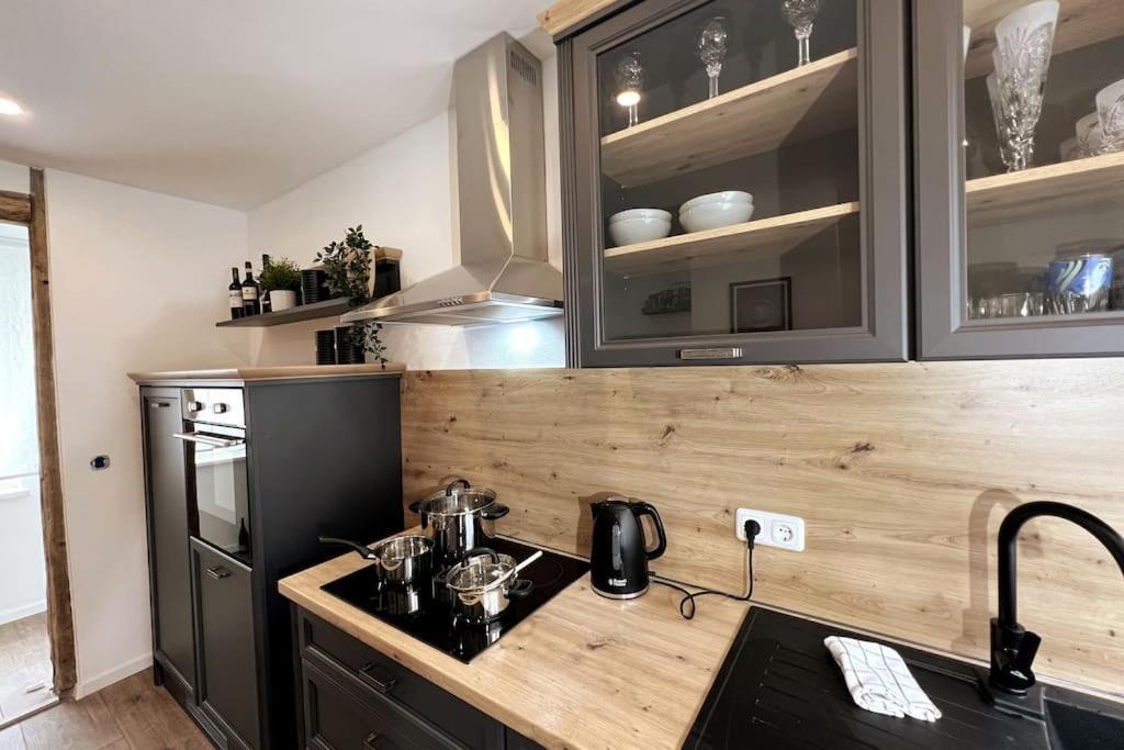 Ar Apartments III I 4 Pers I Modern I Schillerapartment Rudolstadt Zewnętrze zdjęcie