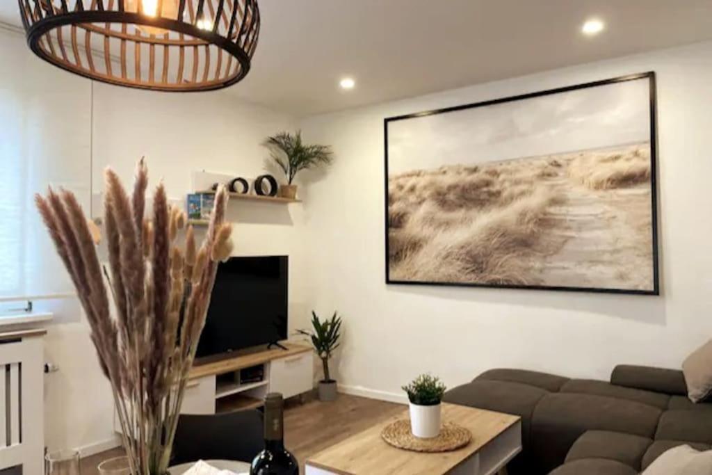 Ar Apartments III I 4 Pers I Modern I Schillerapartment Rudolstadt Zewnętrze zdjęcie
